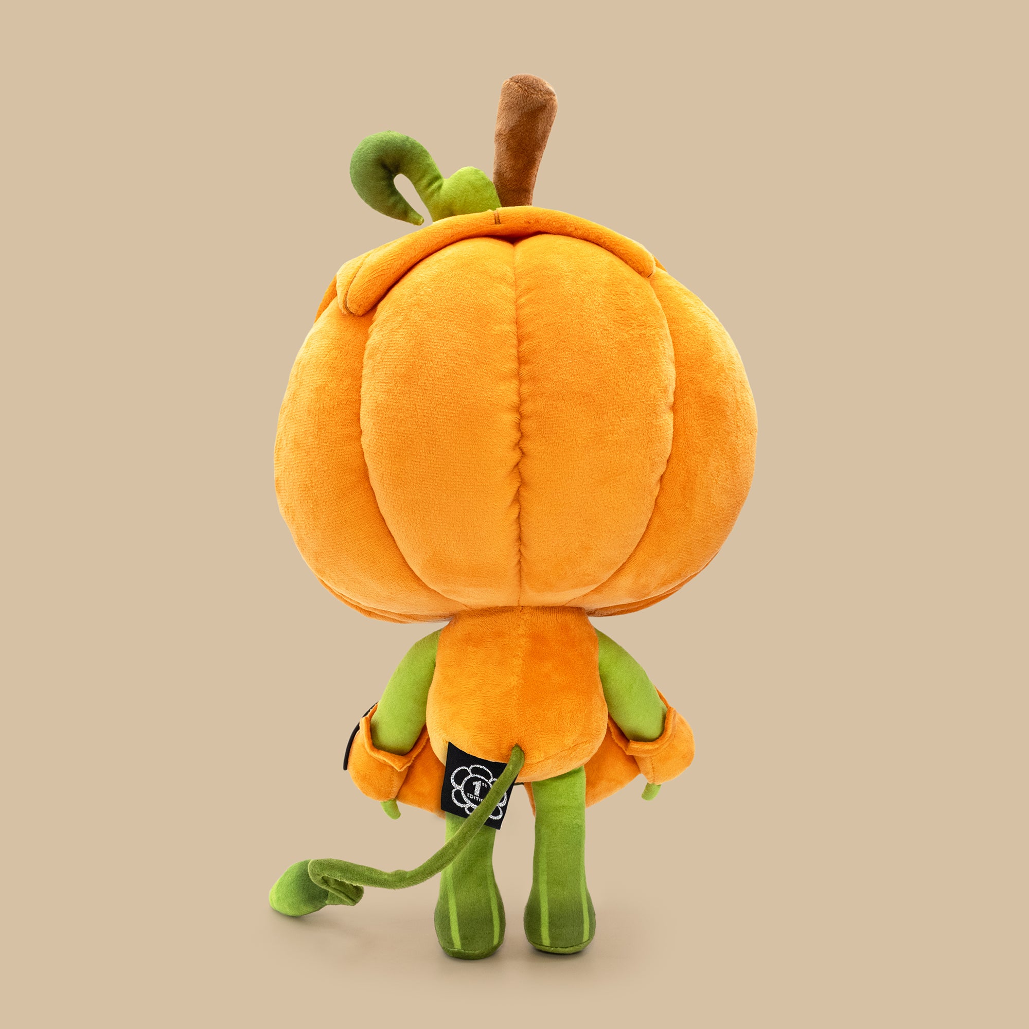 Plush toy with pumpkin shell and green body on a beige background